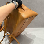 Delvaux Brillant East/West Handbag in Tan Box Calf Leather