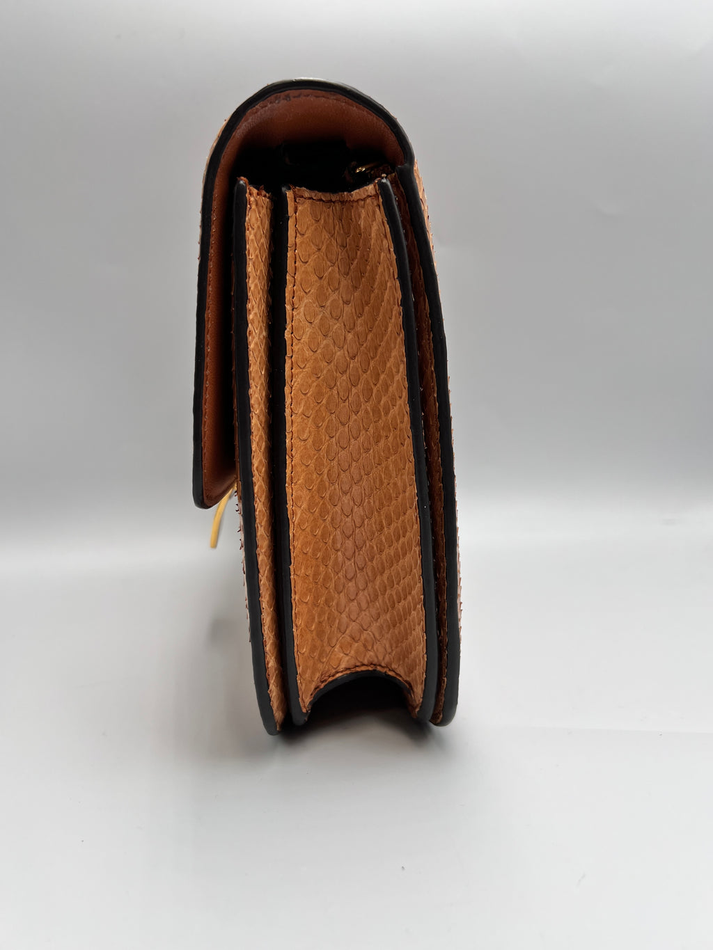 Celine Classic Box Bag in Tan Python Leather with Gold-Tone Hardware