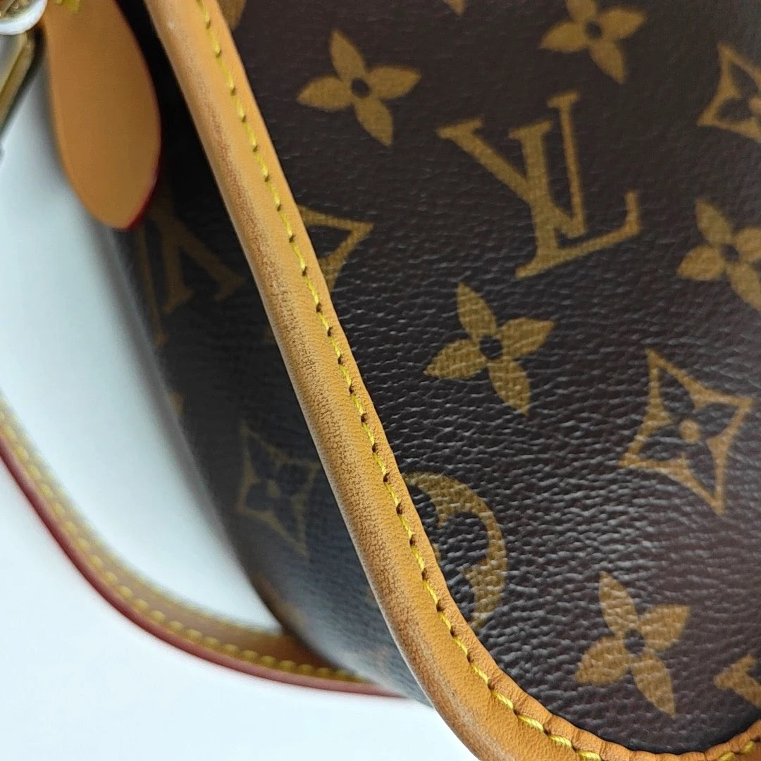 Louis Vuitton Diane Bag
