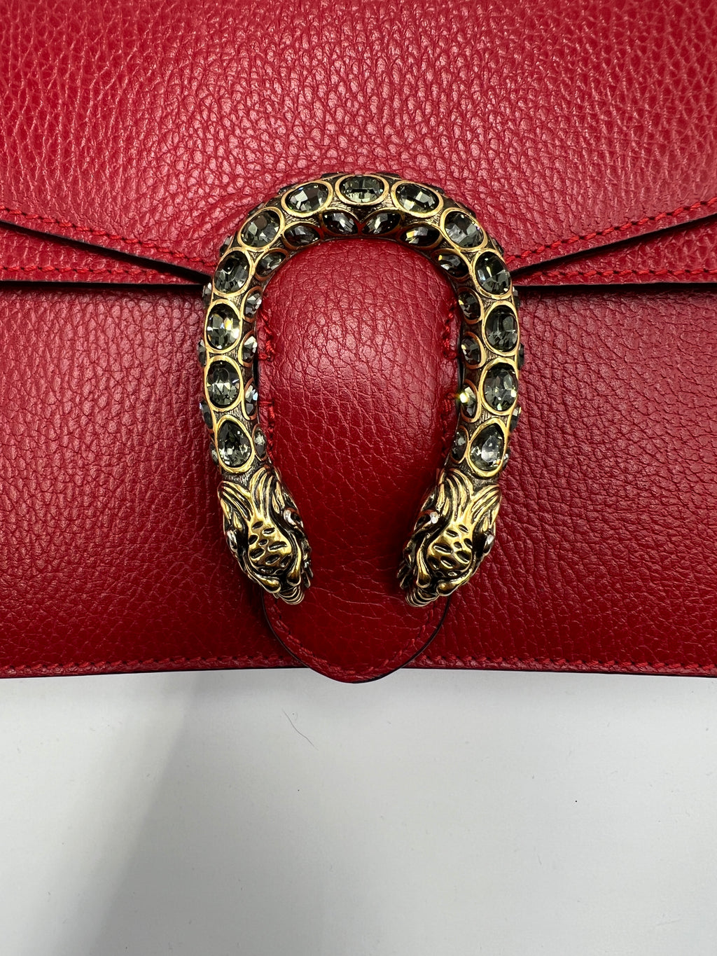 Gucci Dionysus Medium Bag with Red Leather