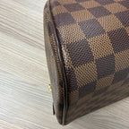 Louis Vuitton Ribera MM in Damier Ébène Canvas