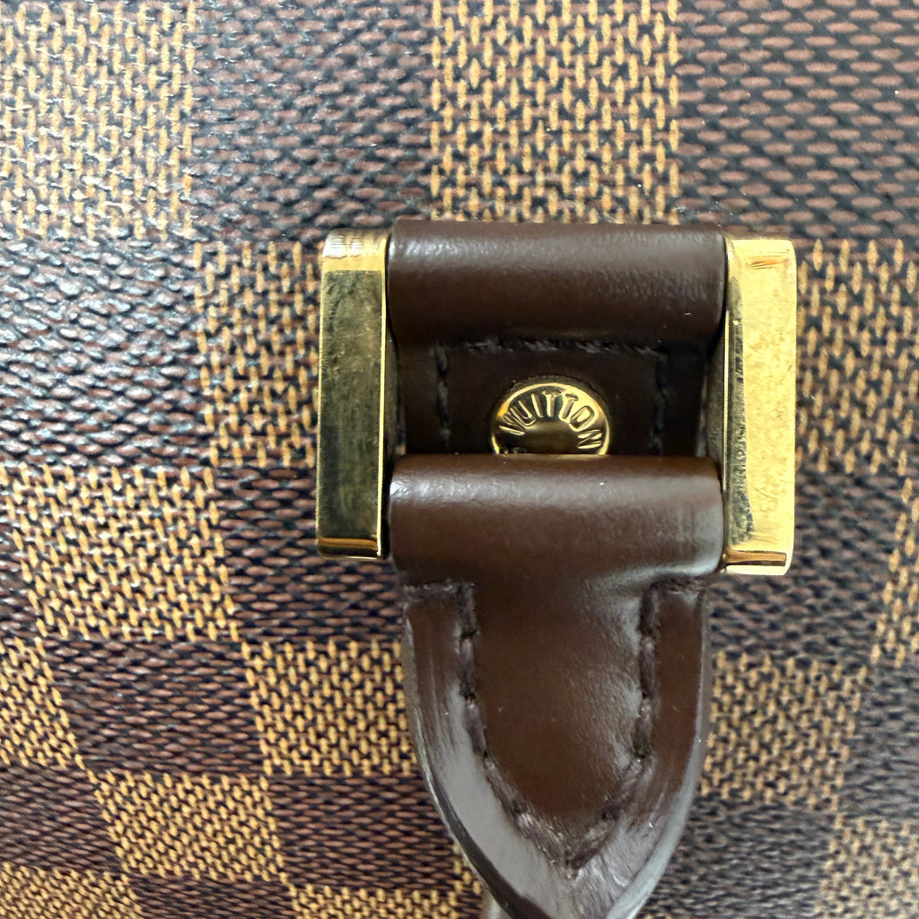 Louis Vuitton Ribera MM in Damier Ébène Canvas