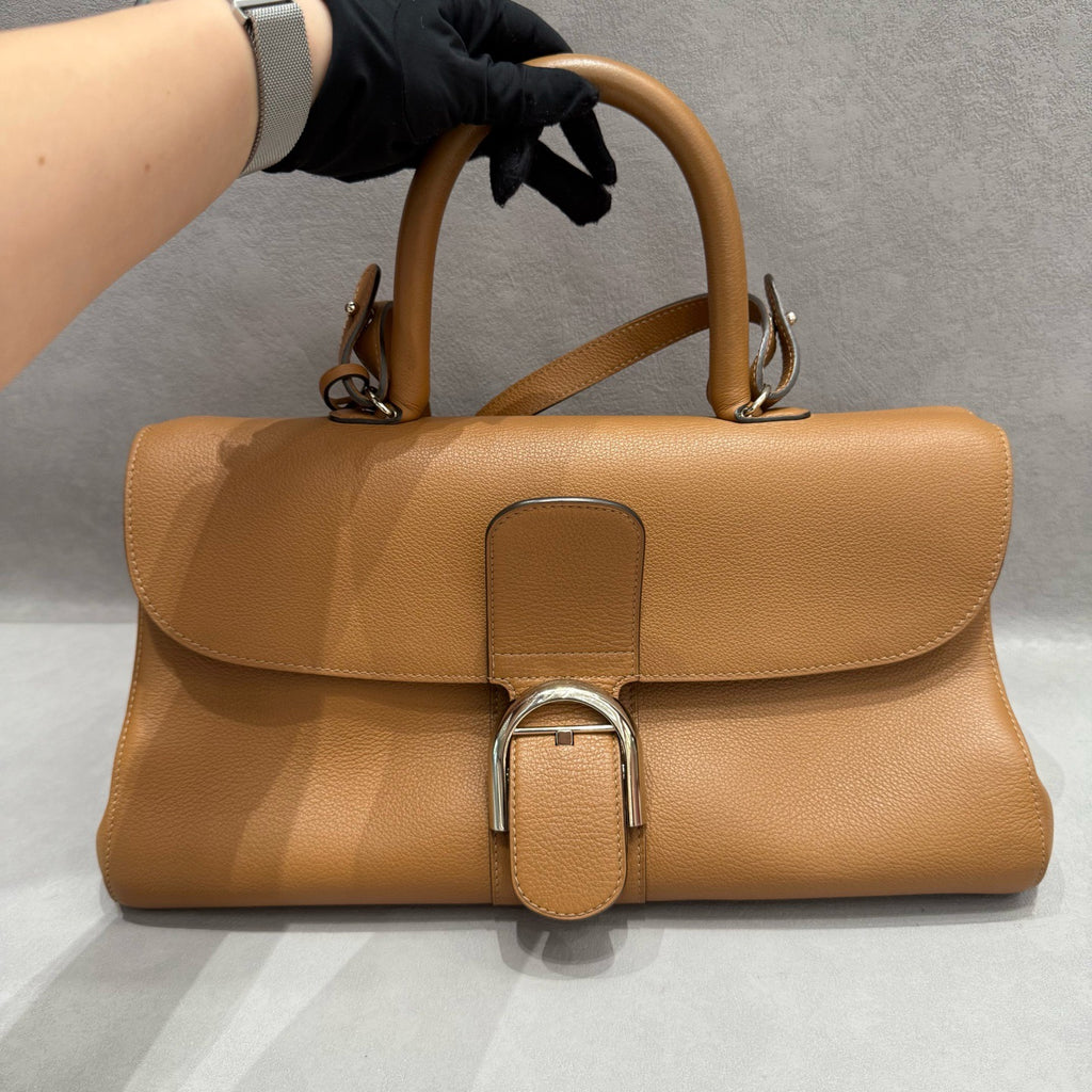 Delvaux Brillant East/West Handbag in Tan Box Calf Leather