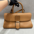 Delvaux Brillant East/West Handbag in Tan Box Calf Leather