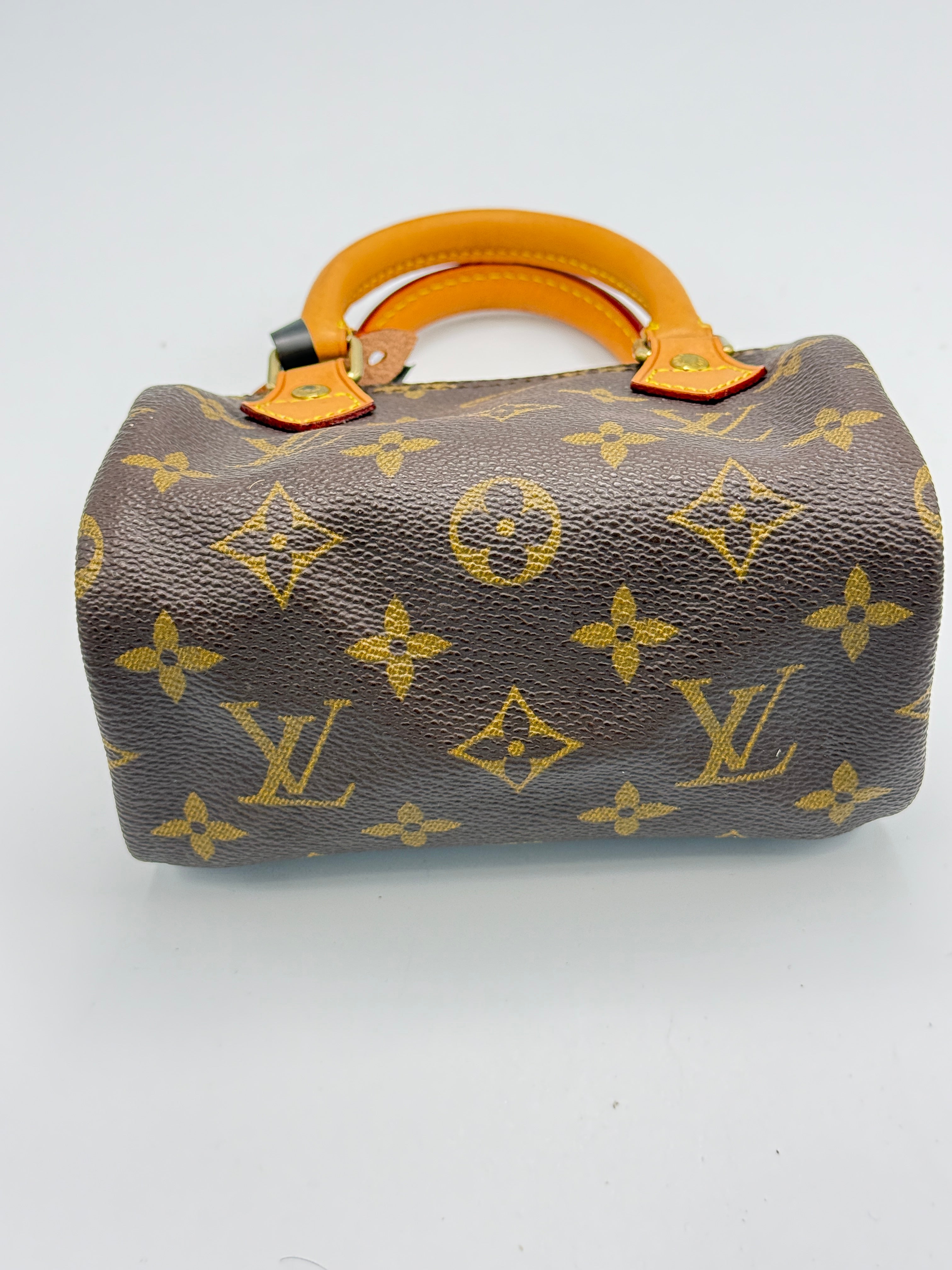 Louis Vuitton Nano Speedy