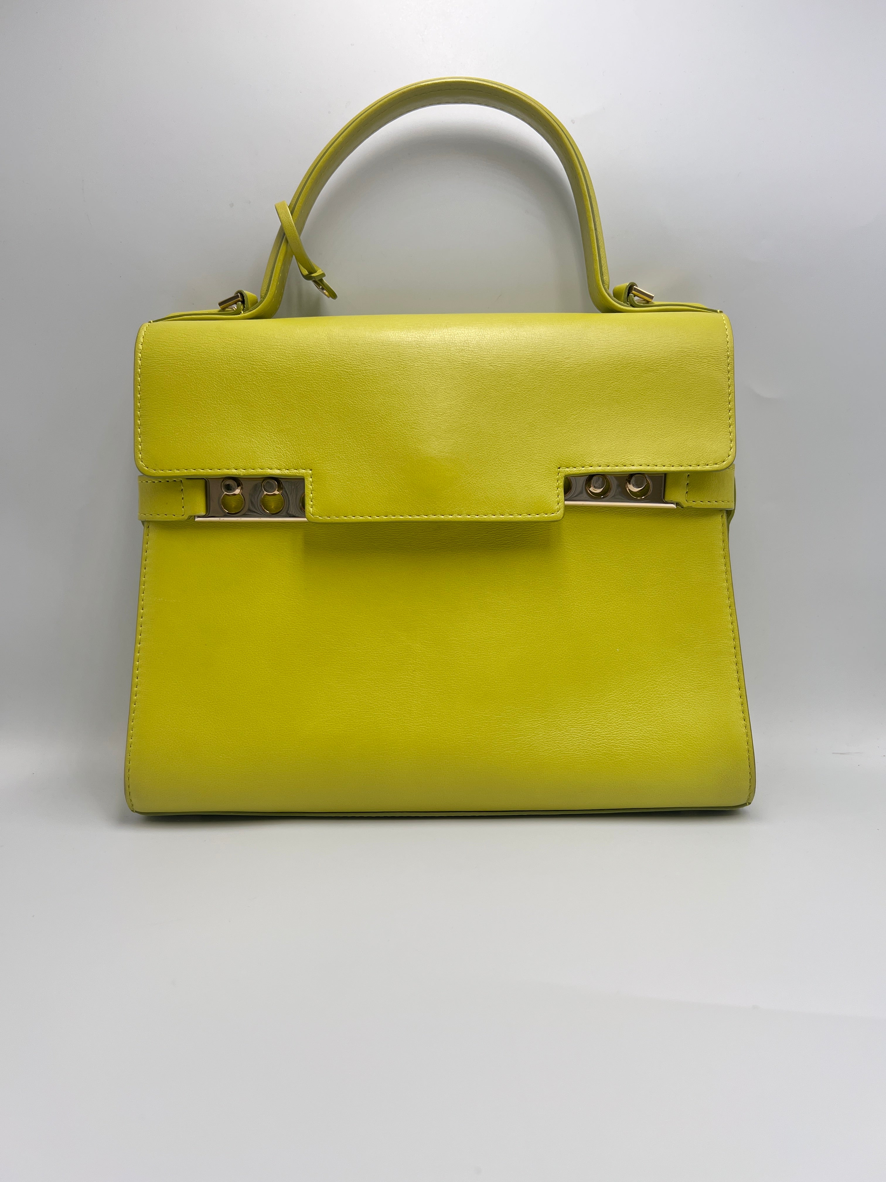 Delvaux Tempete Leather Handbag