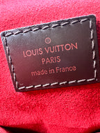 Louis Vuitton Damier Ebene Trevi PM Satchel