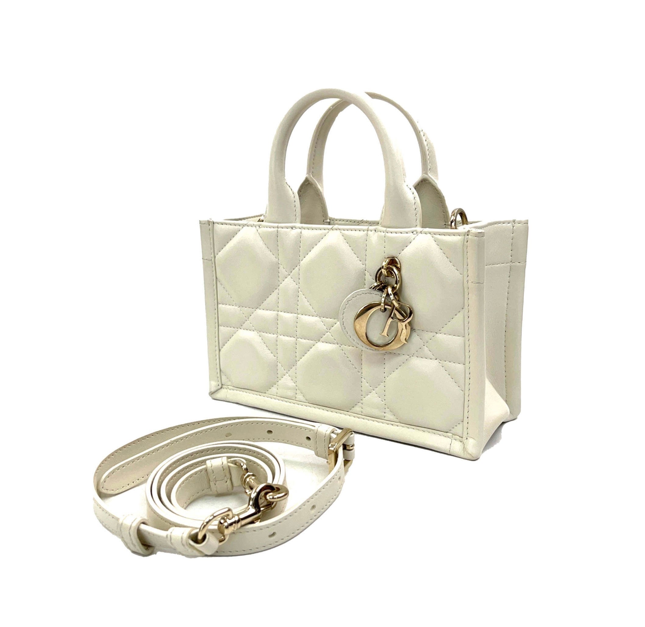 Dior Book Tote Mini Bag