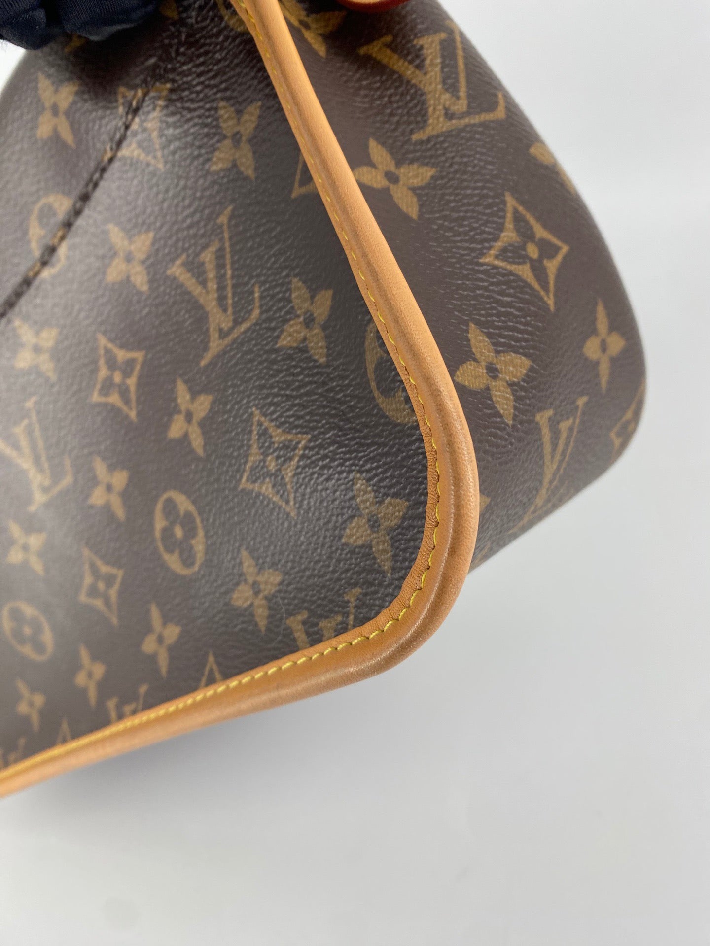Louis Vuitton Diane Bag