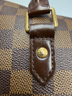 Louis Vuitton (2016) Ribera MM in Damier Ébène Canvas