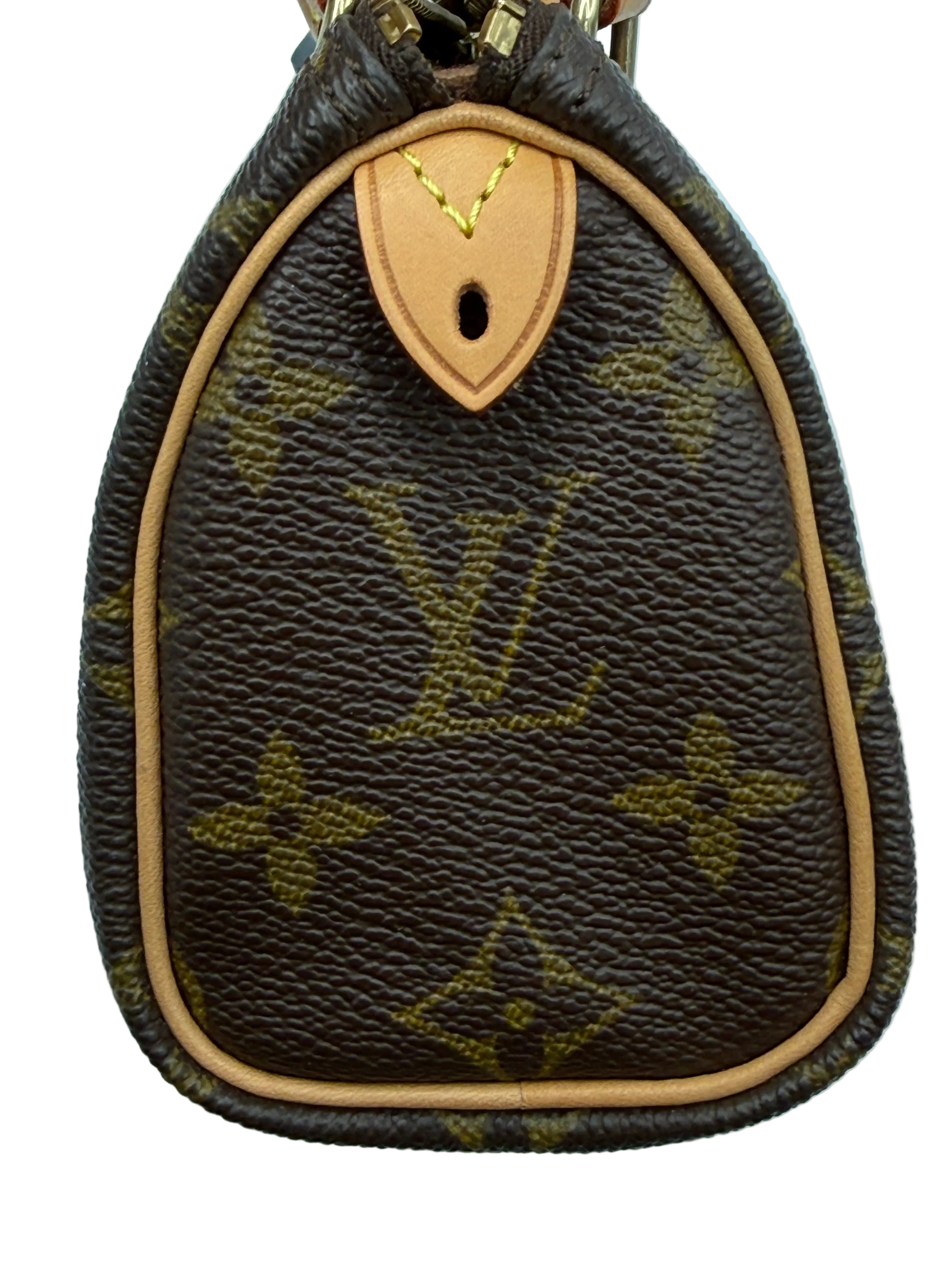 Louis Vuitton Nano Speedy