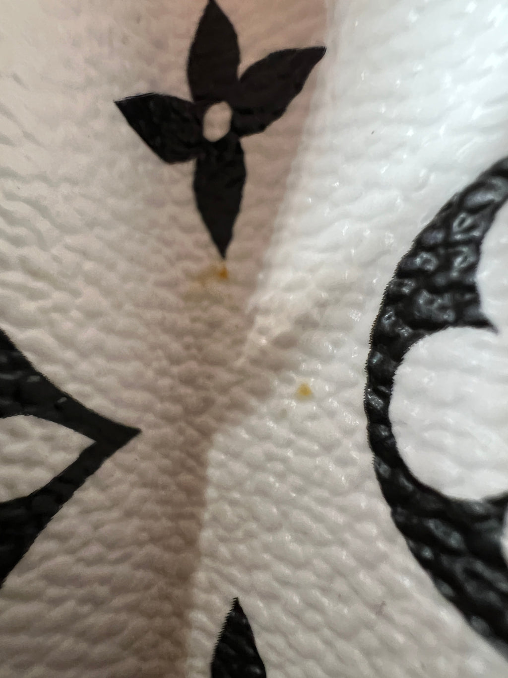 Louis Vuitton Wynwood Vernis in Patent Leather