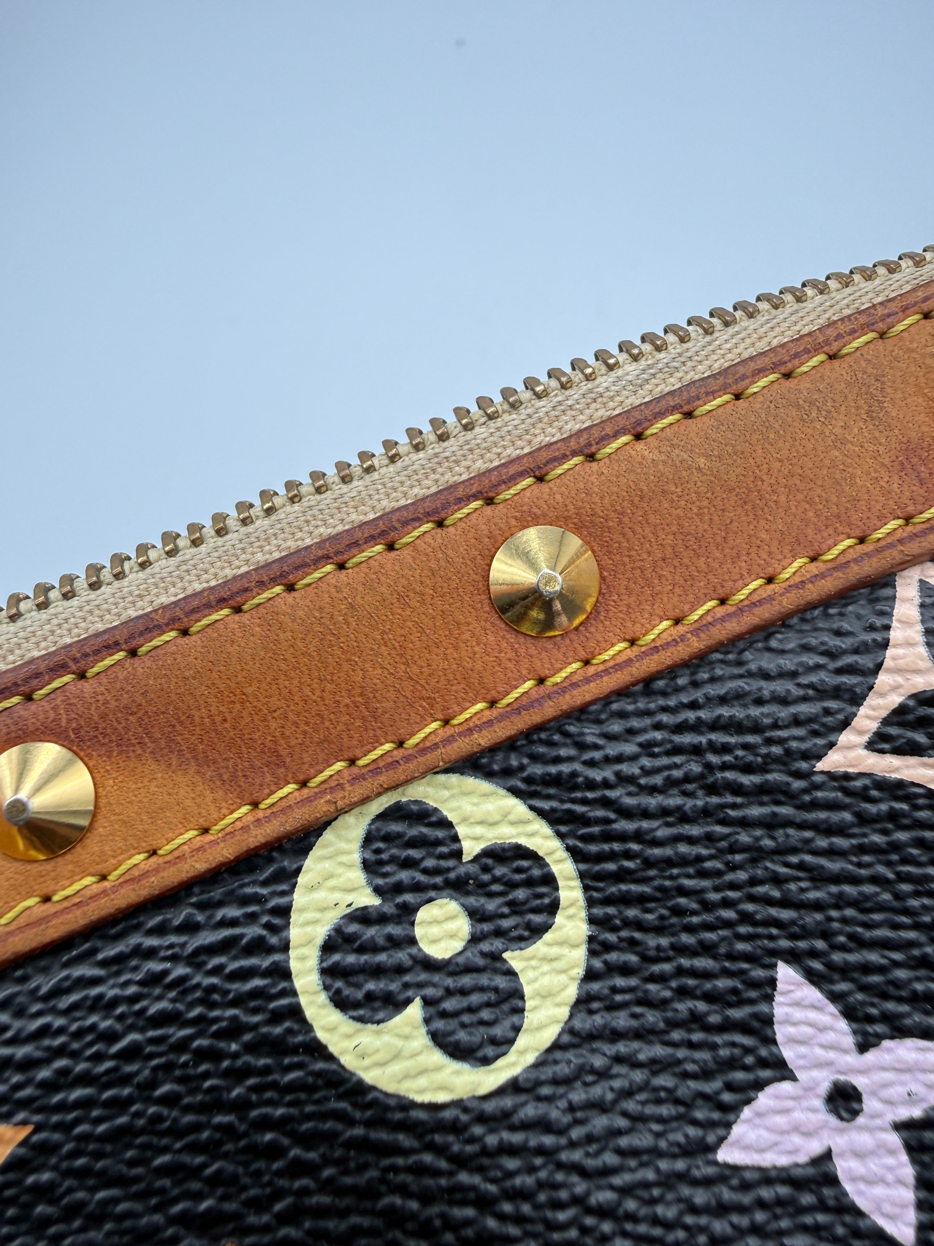 Louis Vuitton Murakami Pochette