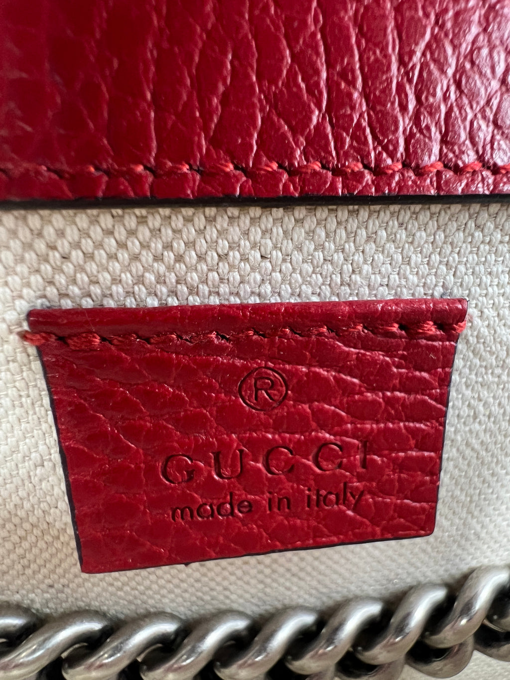 Gucci Dionysus Medium Bag with Red Leather