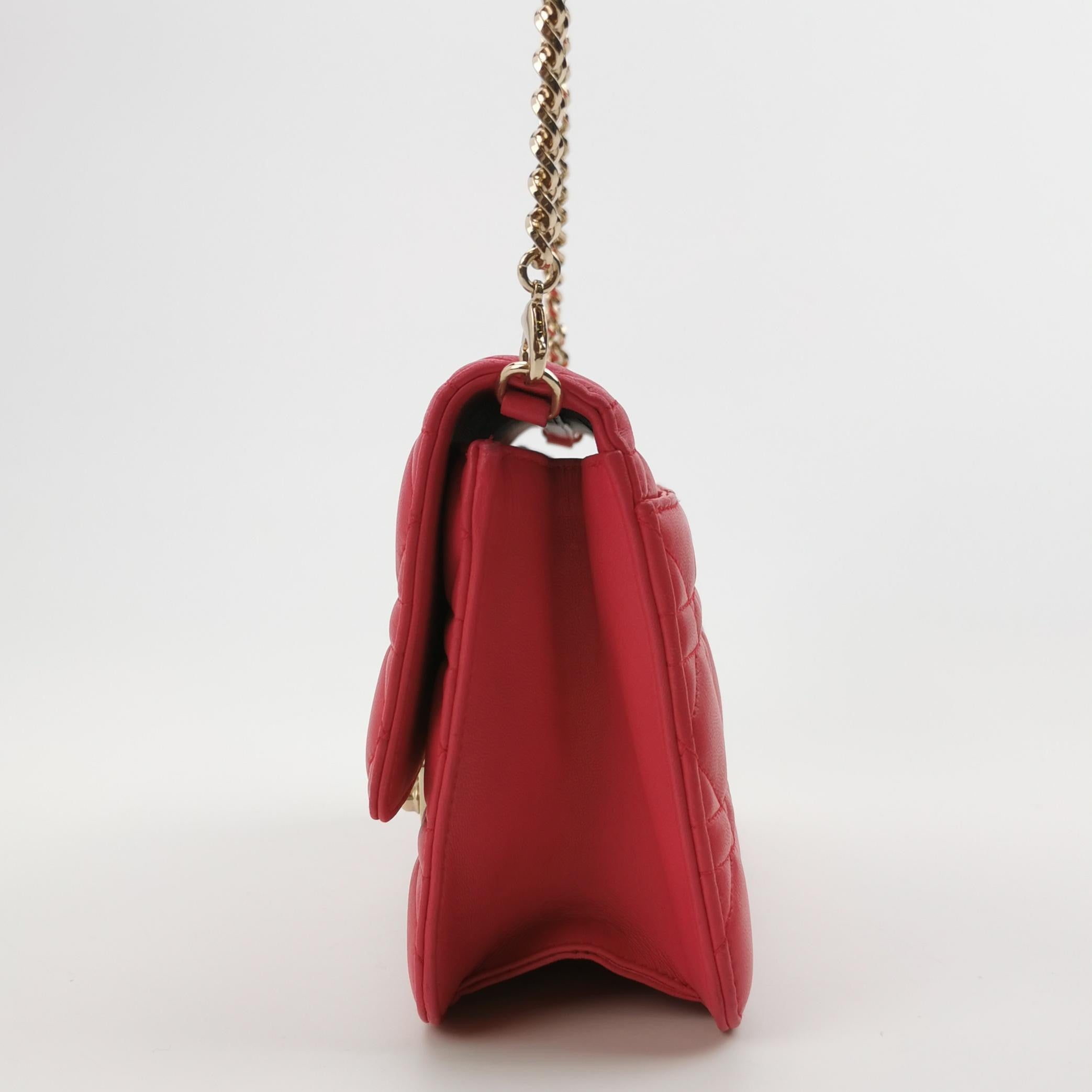 Christian Miss Dior Flap Bag
