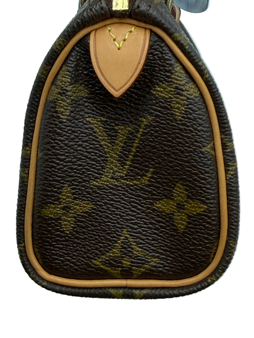 Louis Vuitton Nano Speedy