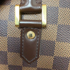 Louis Vuitton Ribera MM in Damier Ébène Canvas
