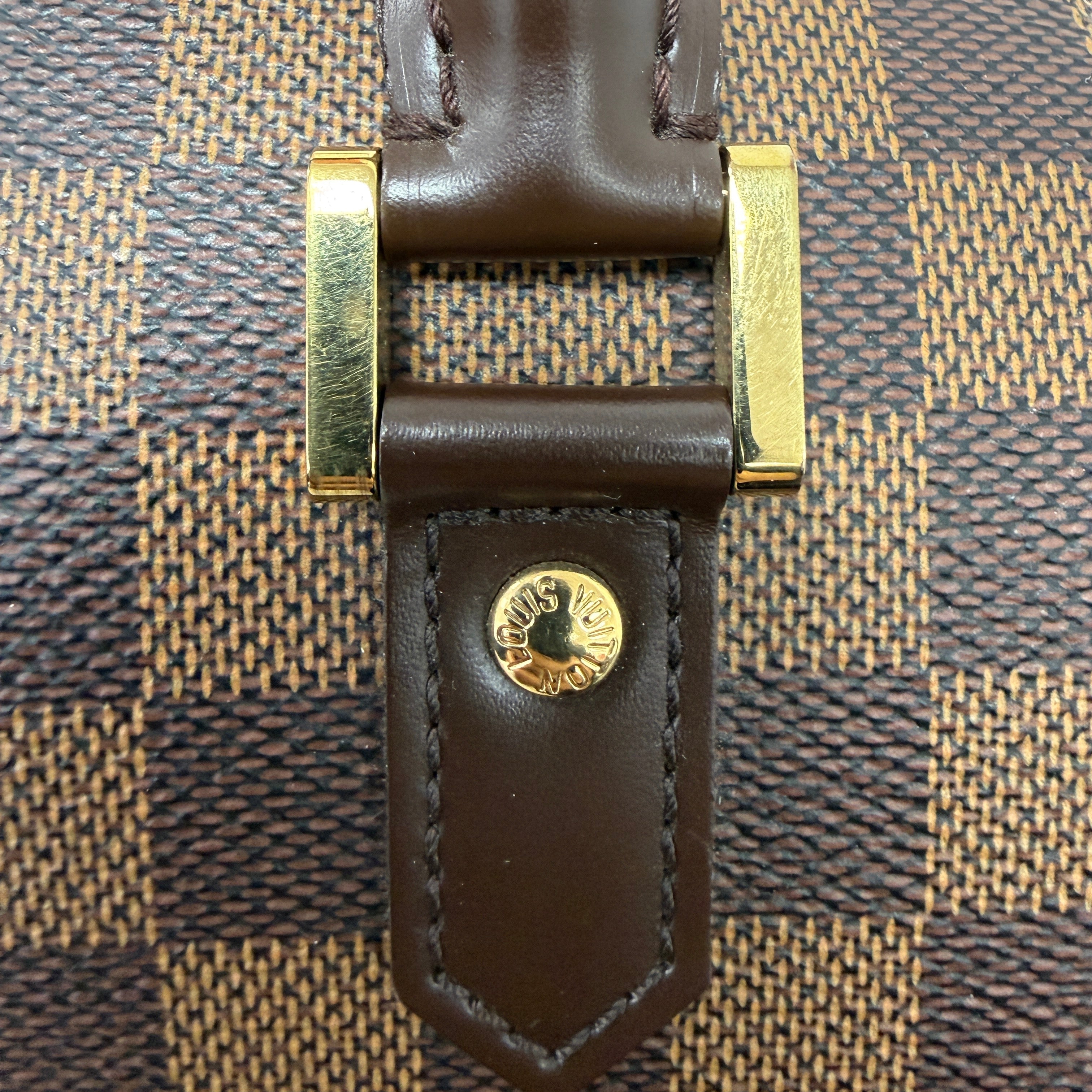 Louis Vuitton Ribera MM in Damier Ébène Canvas