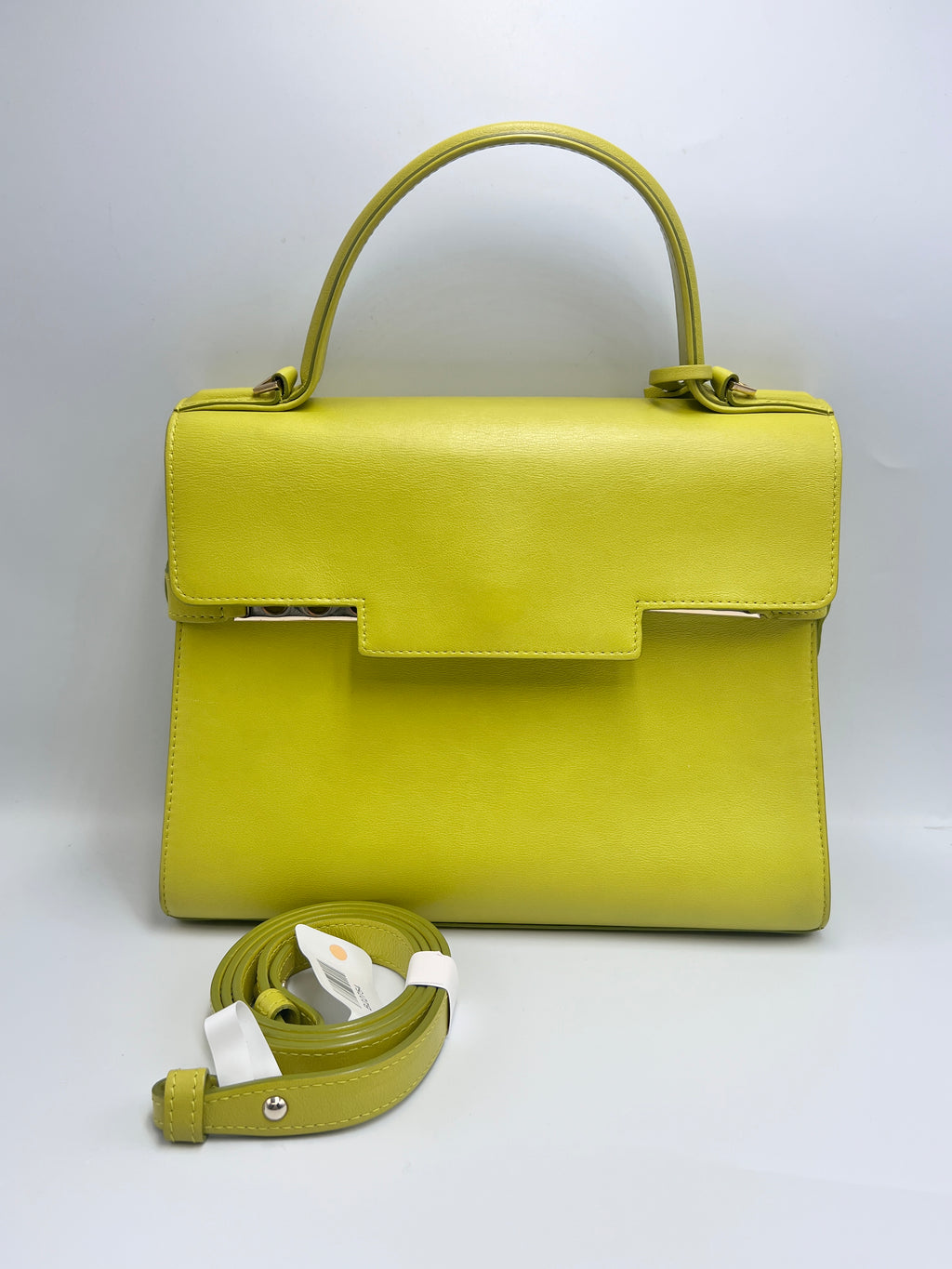 Delvaux Tempete Leather Handbag