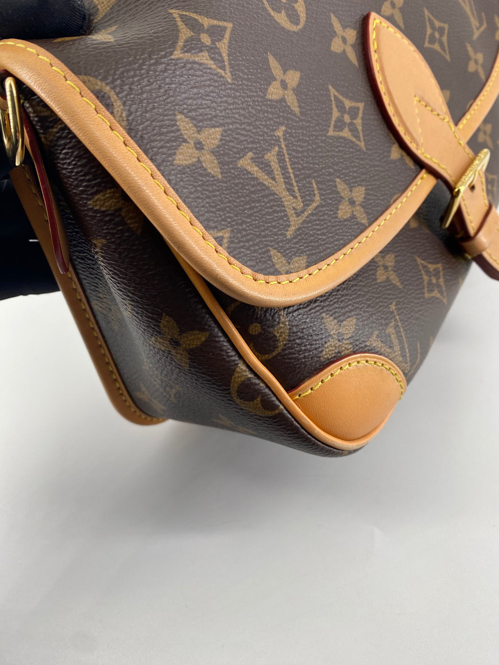 Louis Vuitton Diane Bag