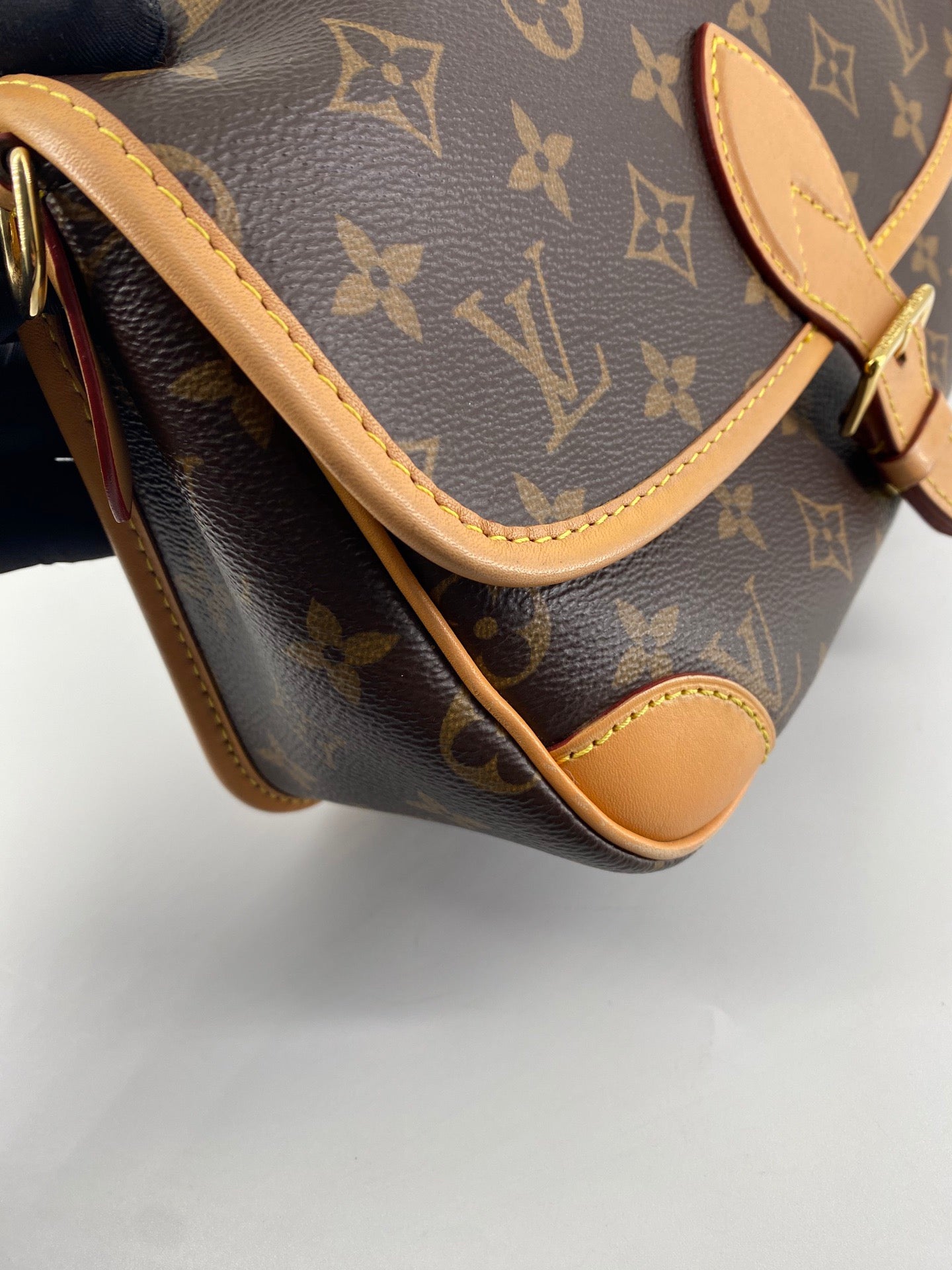 Louis Vuitton Diane Bag