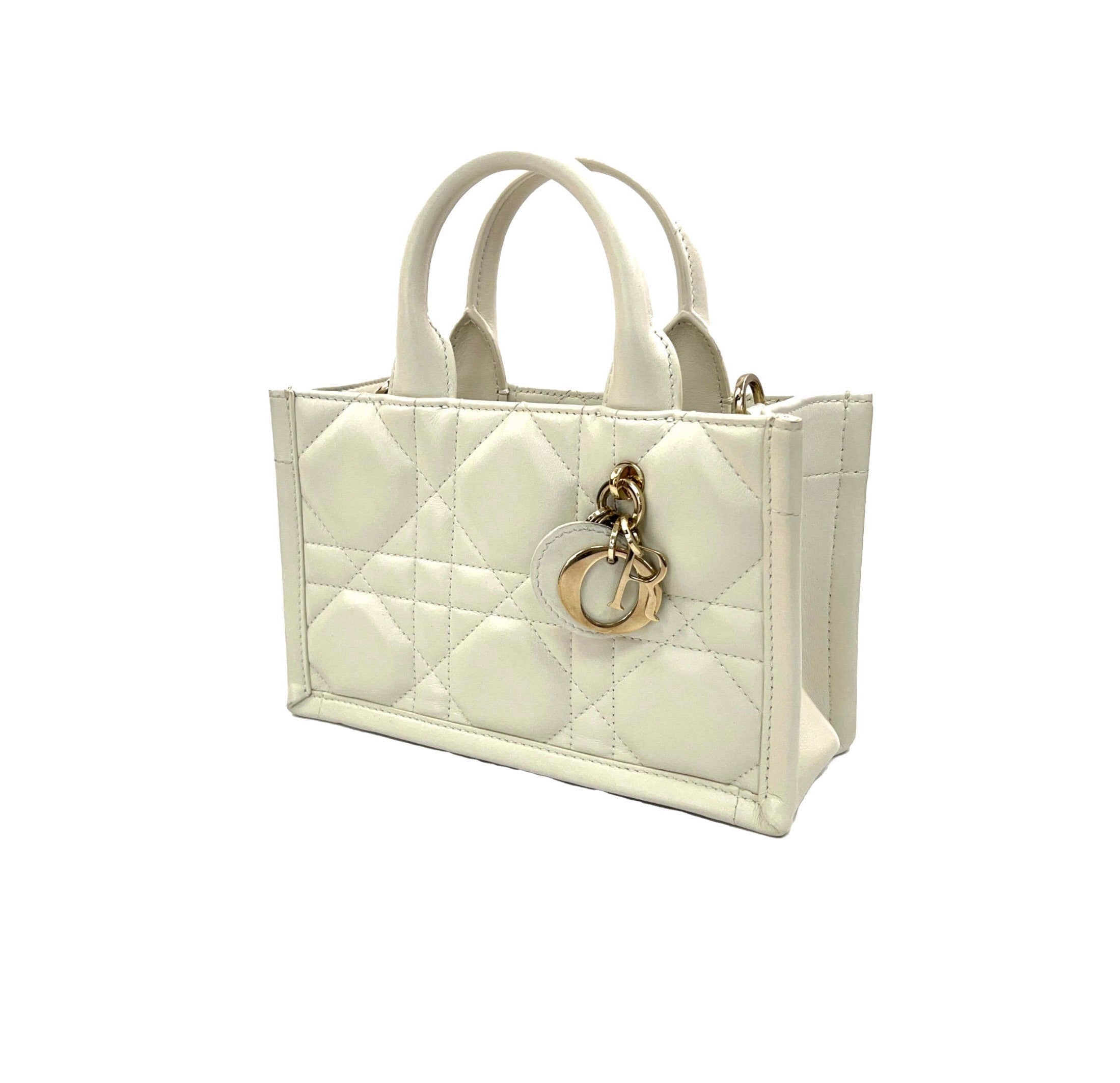 Dior Book Tote Mini Bag