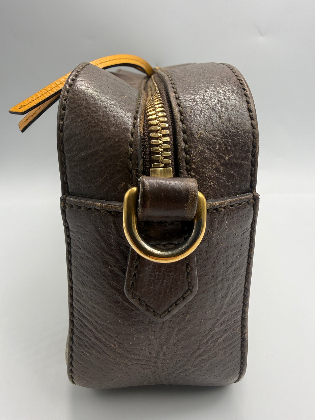 Gucci Neo Classic Feline Head Camera Bag in GG Supreme Canvas