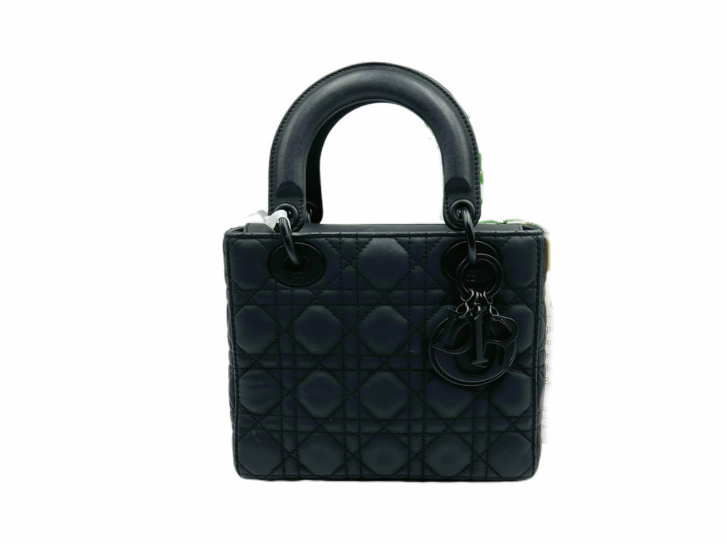 Mini Lady Dior