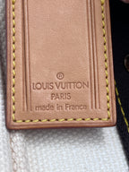 Louis Vuitton Antigua Cabas PM Tote Bag