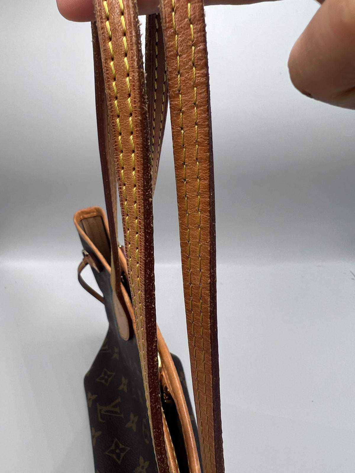 Louis Vuitton Neverfull PM Tote Bag