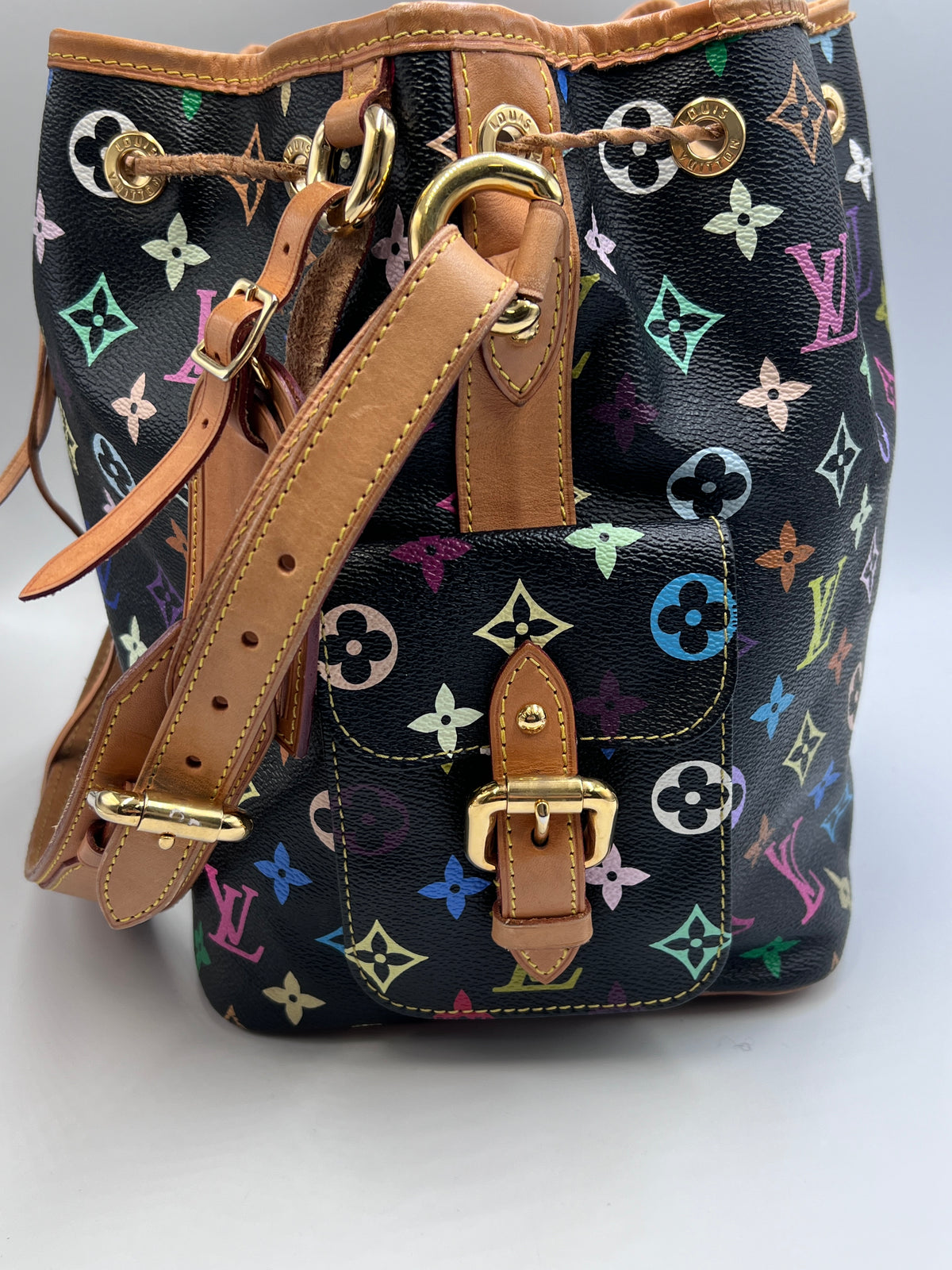 Louis Vuitton Monogram Multicolore Petit Noe Bucket Bag