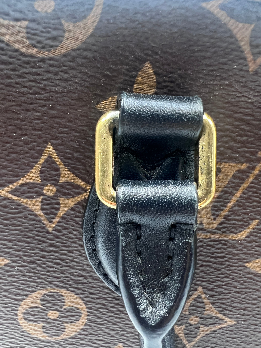 Louis Vuitton Flower Tote Bag