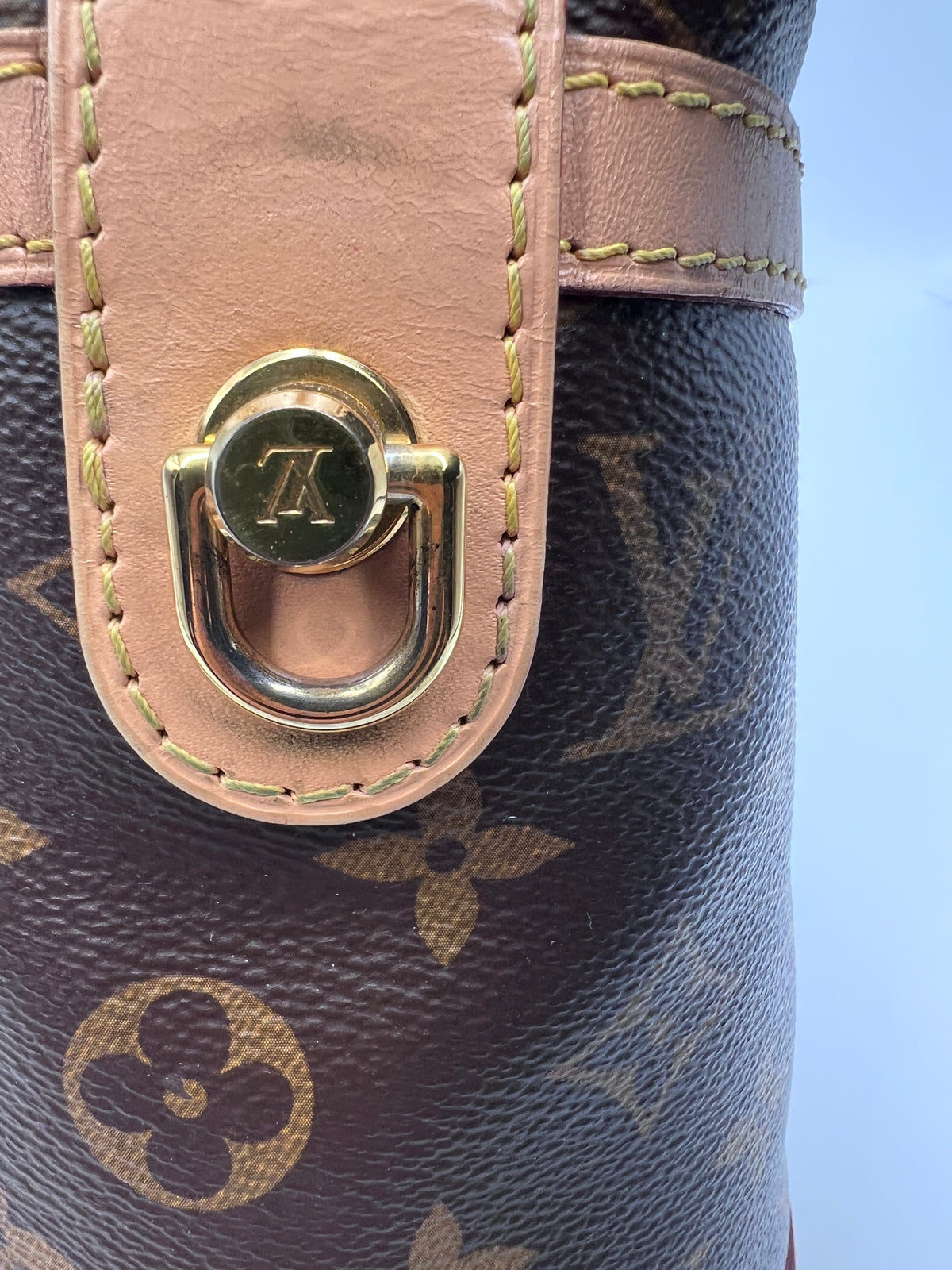 Louis Vuitton Monogram Nano Bucket Bag with Microchip and Adjustable Strap