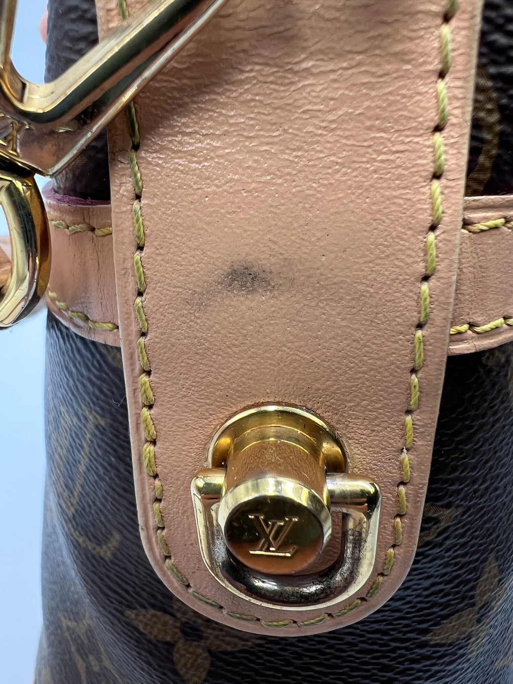 Louis Vuitton Monogram Nano Bucket Bag with Microchip and Adjustable Strap